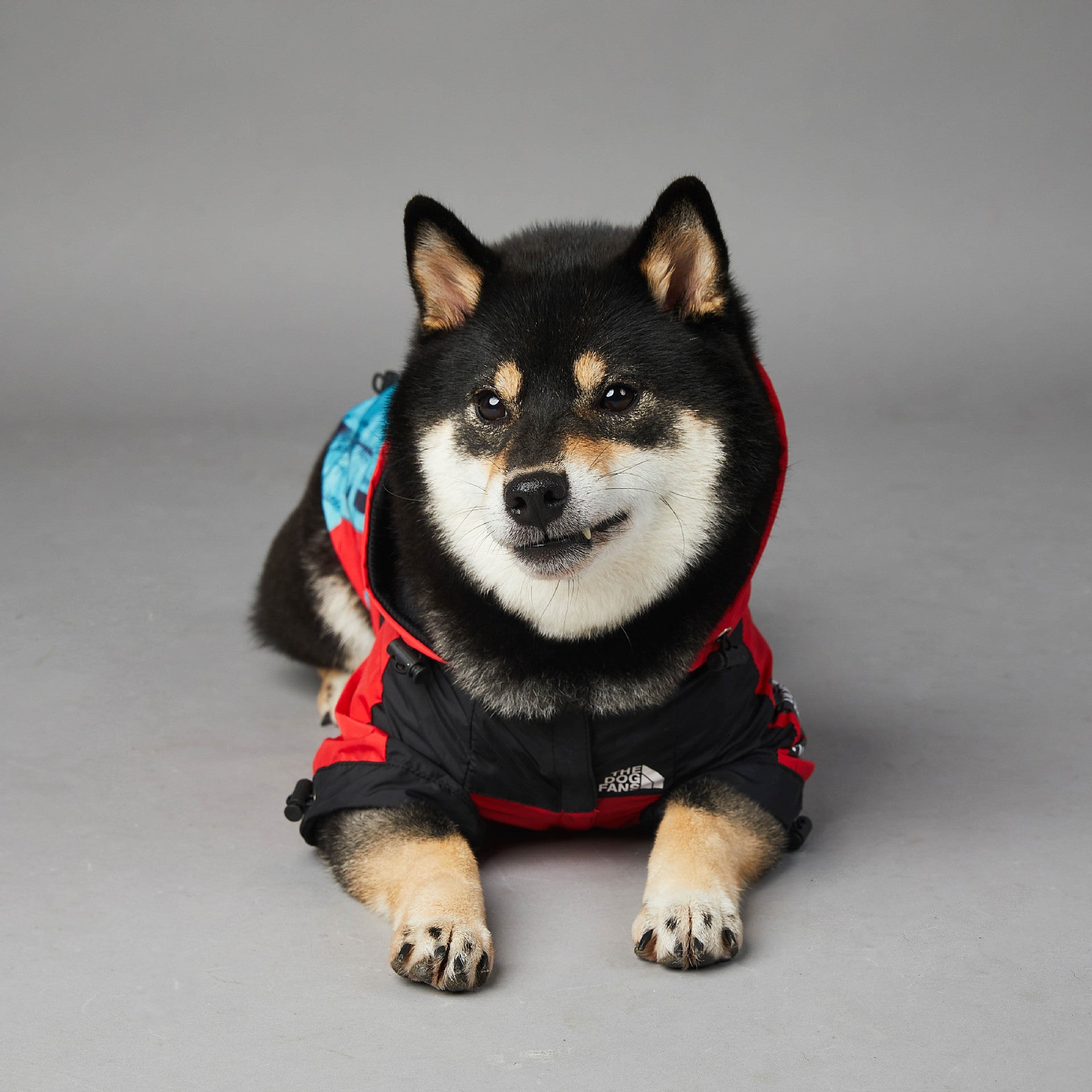 The Dog Fans Regenjacke NY in 3 verschiedenen Farben